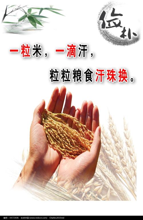 香港专业教育学院学生卡
